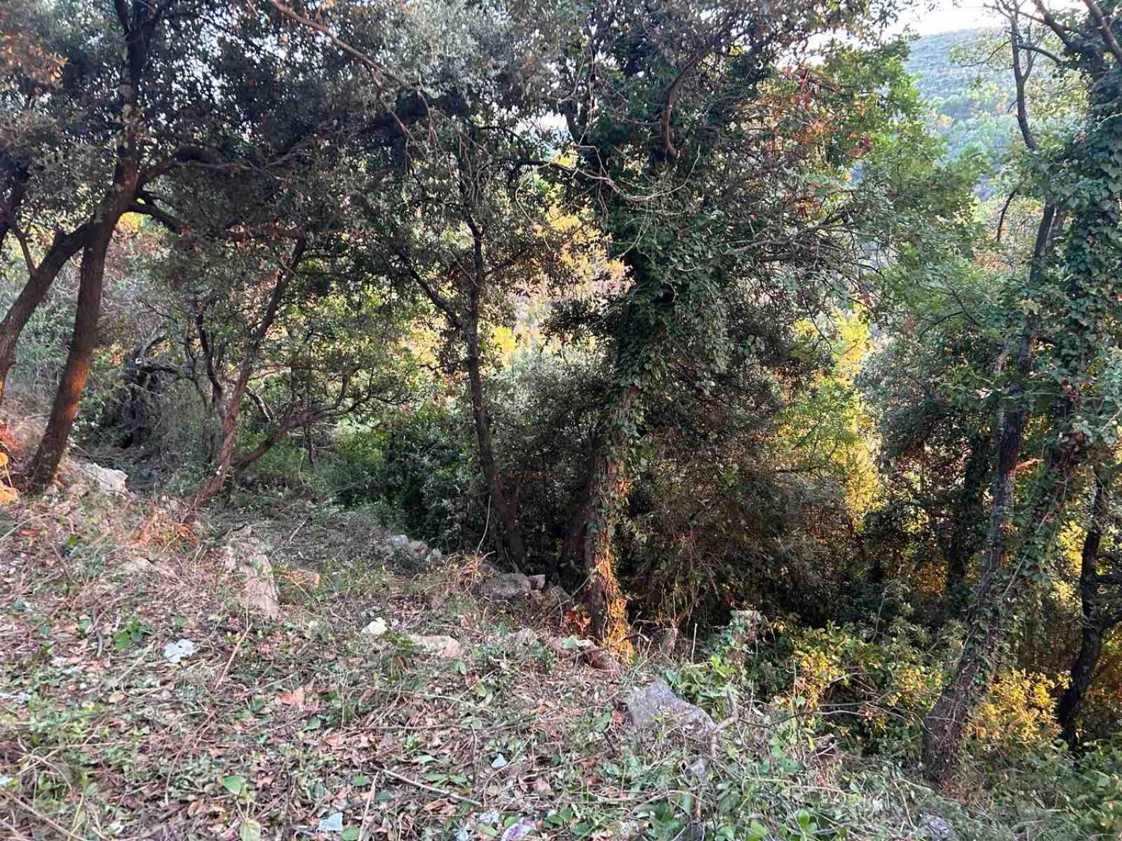 Mongoose Lejlighed Herceg Novi Eksteriør billede